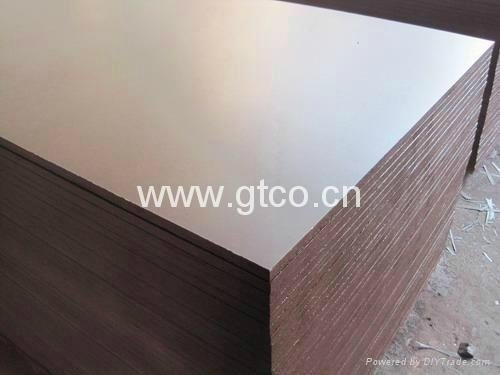 construction plywood/shuttering plywood