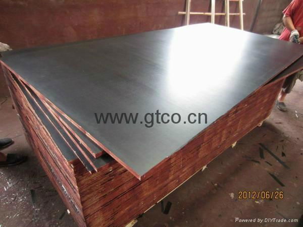 construction plywood/shuttering plywood 2