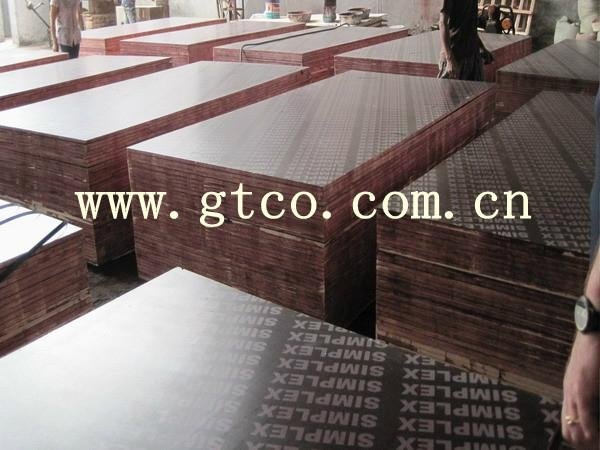 construction plywood/shuttering plywood 3