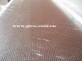 construction plywood/shuttering plywood 4