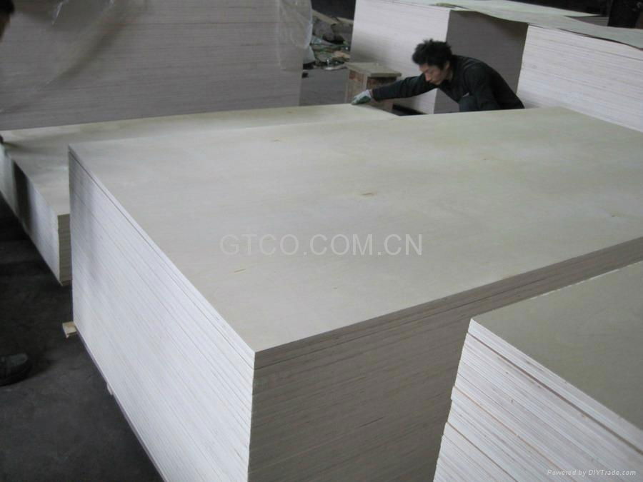 C-2 White Birch Plywood  1