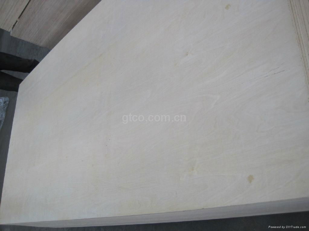 C-2 White Birch Plywood  2