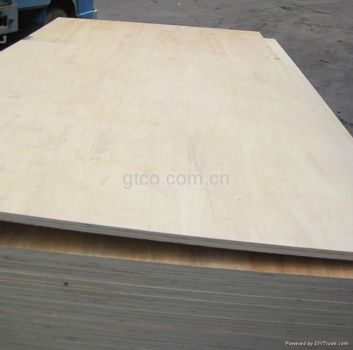 high quality poplar plywood 4