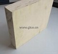 high quality poplar plywood 5