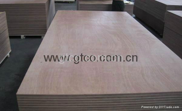 Keruing plywood  2