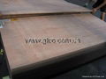 Keruing plywood