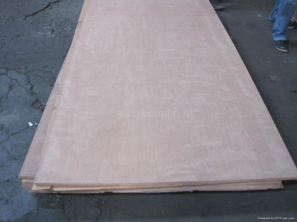 Keruing plywood  4