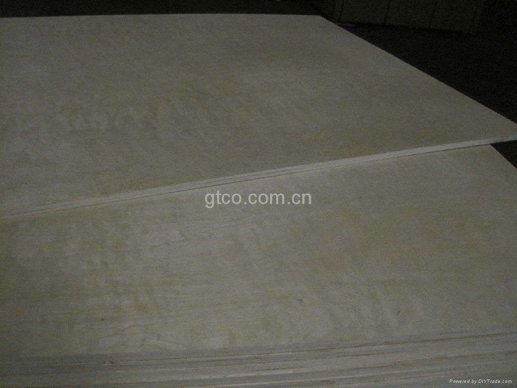 C-2 White Birch Plywood  3