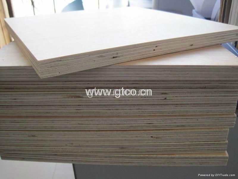 C-2 White Birch Plywood  4