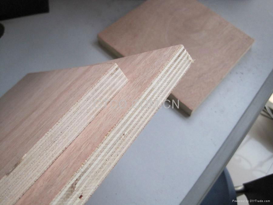 Okoume plywood 3