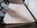 Okoume plywood 1