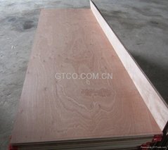 Red Canarium plywood