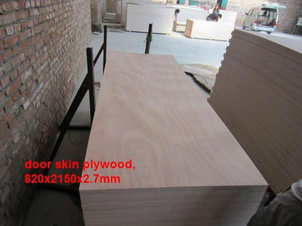 okoume veneer plywood door skin  4