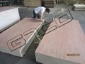Bintangor plywood 5