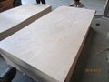 Okoume plywood 4