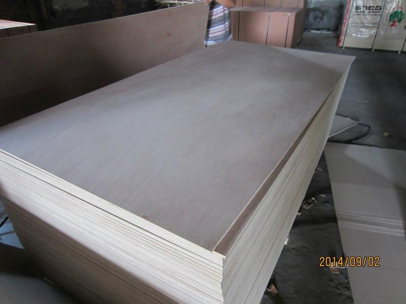 Okoume plywood 5