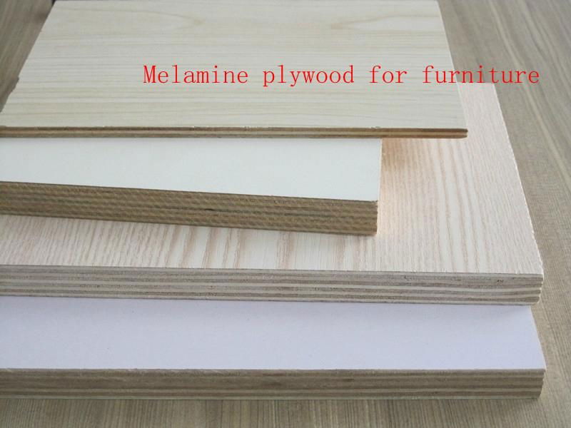 Melamine plywood 5