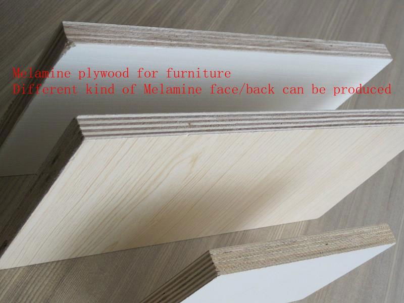 Melamine plywood 2