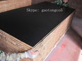 Black film faced marine plywood 3