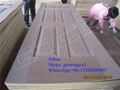 Wood veneer, Melamine HDF/MDF Moulded door skin 2