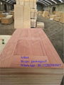 Wood veneer, Melamine HDF/MDF Moulded door skin 3