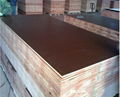 Anti slip Brown film faced shuttering plywood formwork 4