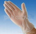 Disposable Vinyl Gloves 1