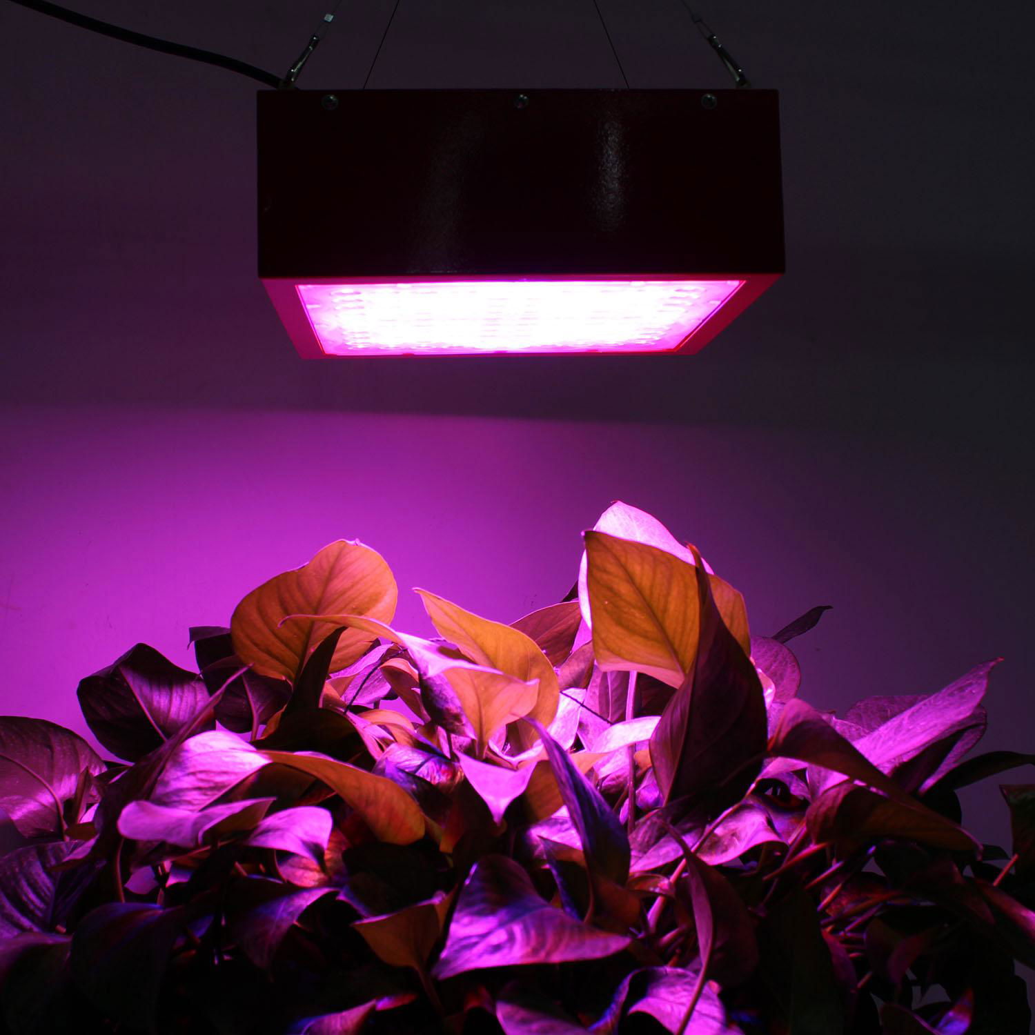 Grow light