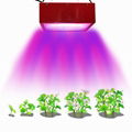 Grow light 6