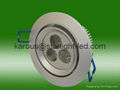 LED Downlight(Celling Lamp)