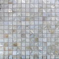 white color Shell mosic wall tile 1