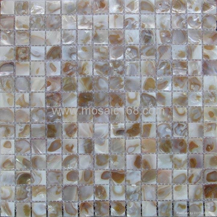 white color Shell mosic wall tile 2