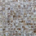 white color Shell mosic wall tile