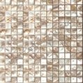 Shell mosic wall tile,mother of pearl mosaic,shell veneer