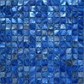 blue color shell mosaic