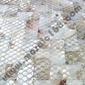 gold color shell mosaic 
