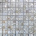 oval shape shell wall mosaic tile
