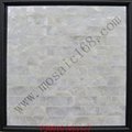 Shell wall paper PJ001P