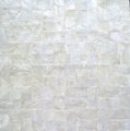 capiz Shell wall paper mamufacture supply