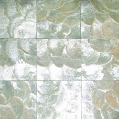 capiz Shell wall paper, shell mosaic white color
