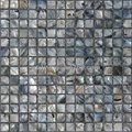 Shell mosaic mop free design