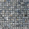 interior wall mop shell mosaic 
