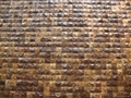 Coconut wall panels lacquer surface