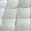 bleach coconut mosaic panels