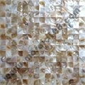 natural Shell mosaic mesh base