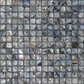 black mop shell mosaic