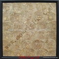 capiz Shell wall paper mosaic