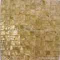capiz Shell wall paper mosaic