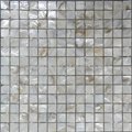 freshwater Shell mosaic 