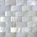 white color Shell mosaic polished surface